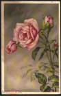 Открытка Европа Голландия 1940-е. С праздником. Bonne fete. Розы, цветы подписана