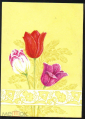 Открытка СССР 1970-е г. Тюльпаны С праздником 8 марта. Обрезана чистая - вид 1