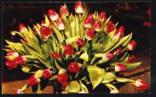 Открытка СССР 1973 г. Букет тюльпанов. фото. Б. Круцко подписана