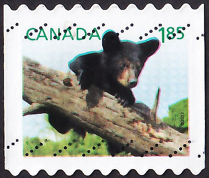Канада 2013 год . Американский бурый медведь , 1,85 $ . Каталог 4,10 €.