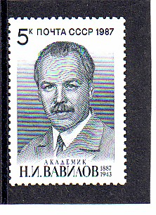 СССР 1987  год.  Вавилов. ( А-7-181 )