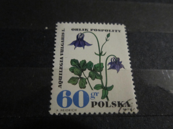 Марки Флора Цветы Польша 1963 г.  