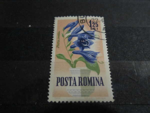 Марки Флора цветы Румыния 1964г. 