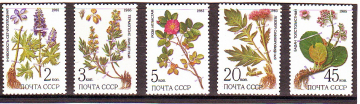 СССР 1985  год. Лекарственные растения. ( А-7-167 )