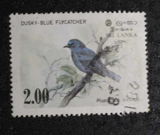 Шри-Ланка 1983 Синяя мухоловка Sc# 693 Used