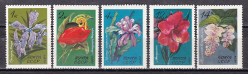 СССР 1971  Тропические растения.  ( А-7-164 )