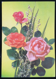 Поздравительная открытка  1991 г. СССР фото И. Дергилева ЧИСТАЯ