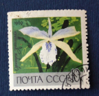 СССР 1969 Орхидея Коттлея # 3676 Used