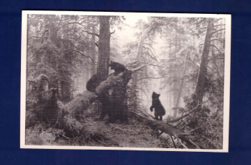 Шишкин И.И. Утро в сосновом лесу.Фотостудия ИЗОГИЗ.Чистая.1959г