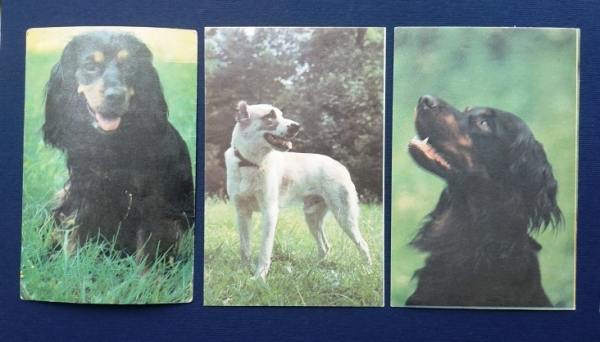 Календарь Породы собак 1990