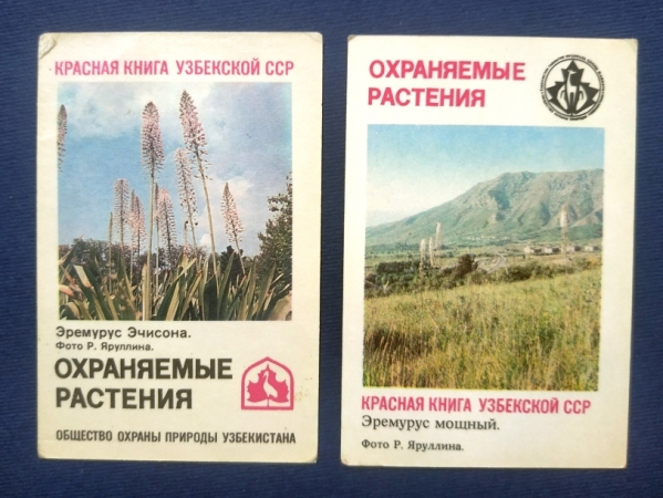 Календарь Красная книга Узбекской ССР Растения 1986 1987