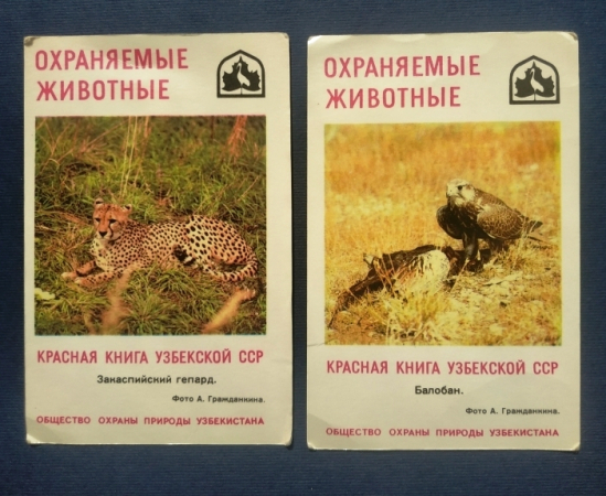 Календарь Красная книга Узбекской ССР Охраняемые животные 1985