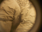 БЕЛОЧЕХИ:ОФИЦЕРЫ ЧЕХОСЛОВАЦ.КОРПУСА: 7-й стрелк.чехосл.ТАТРАНСКИЙ полк и батальон "смерти",1918г - вид 6