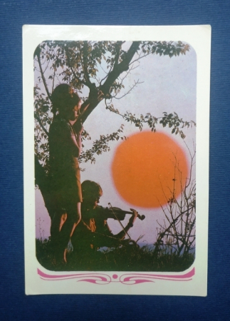 Календарь  Скрипач Солнце 1987