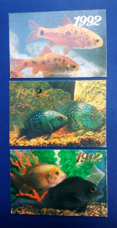 Календарь Аквариумные рыбки 1992