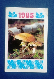 Календарь  Грибы Осень Украина 1985