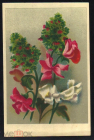 Открытка Рига Латвия 1940-е г. Открытка цветы гвоздики. Союзторгреклама подписана