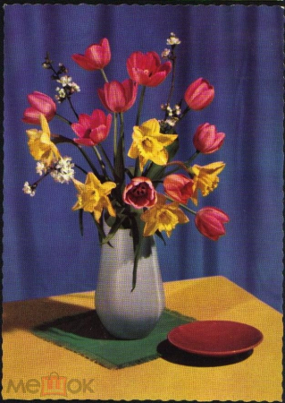 Открытка СССР 1960 г. Ваза Цветы Тюльпаны Нарциссы, тюльпаны, цветы, флора чистая с маркой худ обрез