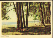 Открытка СССР 1964 г. Мыс Пицунда. Абхазия море пляж отдыхающие зонт чистая