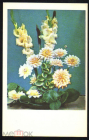 Открытка СССР 1968 г. Декоративный букет, цветы Фото Л. Раскина СХ чистая