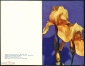 Открытка СССР 1972 г. ИРИС, флора, цветы. худ. фото Матанова двойная чистая - вид 1