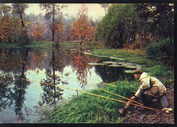 Открытка СССР 1964 г. На рыбалке, удочки озеро. Цветное фото Г. Самсонова СХ чистая