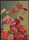 Открытка СССР 1955 г. Гвоздики, цветы, флора. Штамп переоценки. подписана
