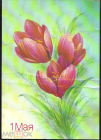 Открытка СССР 1988 г. 1 мая Тюльпаны, цветы, весна. Худ Н. Коробова прошла почту
