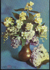Открытка СССР 1973 г. Флора, цветы в вазе. худ. фото Костенко 2 ДМПК прошла почту