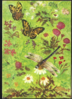 Открытка СССР 1958 г. На лугу Бабочки, цветы, стрекоза худ. Лебедев , чистая