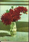 Открытка СССР 1969 г. Троянда. Розы, цветы, ваза. фото В. Чупринина УССР чистая