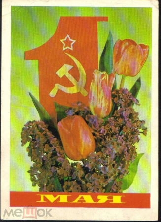 Открытка СССР 1989 г. С праздником 1 мая! цветы фото И. Дергилева ДМПК прошла почту