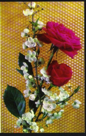 Открытка СССР 1972 г. Поздравляем. Розы, Композиция и фото. Б. Березина двойная чистая