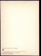 Открытка СССР 1986 г. Амурский тигренок. Фауна. фото И. Бывакина чистая - вид 1