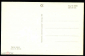 Открытка СССР 1965 г. Белые лилии. Цветы, флора.фото И. Белова СХ чистая - вид 1