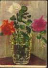 Открытка СССр 1959 г. Три розы, цветы флора, фото Г. Санько, подписана