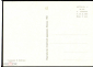 Открытка СССР 1964 г. С праздником 8 марта, цветы, узор, орнамент худ. Б. Фейгина СХ чистая - вид 1