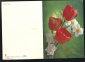 Открытка СССр 1979 г. С днем рождения. Цветы, нарцисс, тюльпаны. ф. Костенко двойная чистая - вид 1