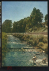 Отктытка Польшя 1960-е г. ЩИРК - Пороги на речке Жилица фото Т. Германьчик чистая