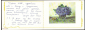 Открытка СССР 1990 г. С 8 марта, узор, цветы, худ. Скорубская мини двойная подписана - вид 2