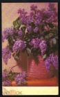 Открытка СССР 1968 г. Сирень, цветы. фото Е. Михайлова СХ подписана