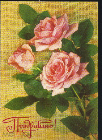 Открытка СССР 1978 г. Поздравляем, Цветы, розы. худ. И. Дергилева ДМПК чистая