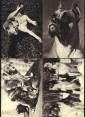 Открытки СССР 1969 г. Собаки, породы собак. фото В. Елисеева изд Планета 25 штук чистые - вид 8