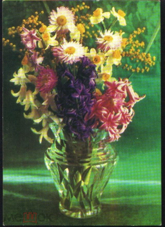 Открытка СССР 1972 г. Цветы, ваза, букет. фото Г. Костенко ДМПК чистая