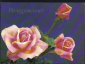Открытка СССР 1987 г. Поздравляю, цветы, розы. Чистая, художник О. Френкель - вид 4