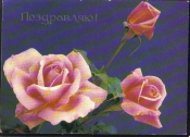 Открытка СССР 1987 г. Поздравляю, цветы, розы. Чистая, художник О. Френкель