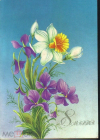 Открытка СССР 1986 г. 8 Марта. Цветы, нарцисс худ. Н. Коробова подписана
