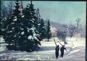Отктытка Польшя 1960-е г. Висла. Центр, зима, лыжи, лес, лыжники фото К.Качньского чистая