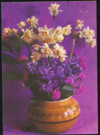 Открытка СССР 1971 г. Флора, цветы в вазе. худ. фото Костенко ДМПК прошла почту