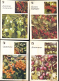 Набор открыток СССР 1986 г. Ваш приусадебный участок, ягоды, фрукты 18 шт Полный + 1 лишняя - вид 5